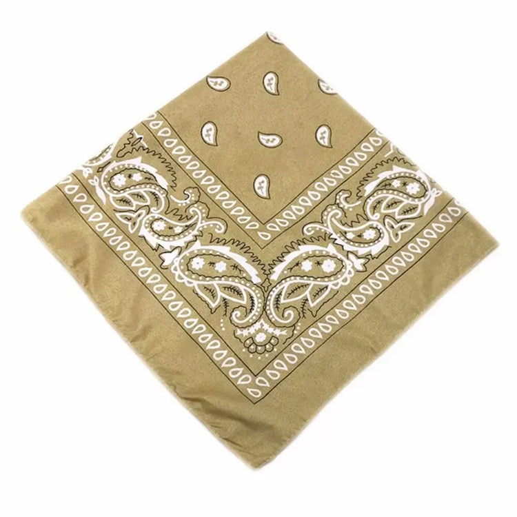 paisley pattern