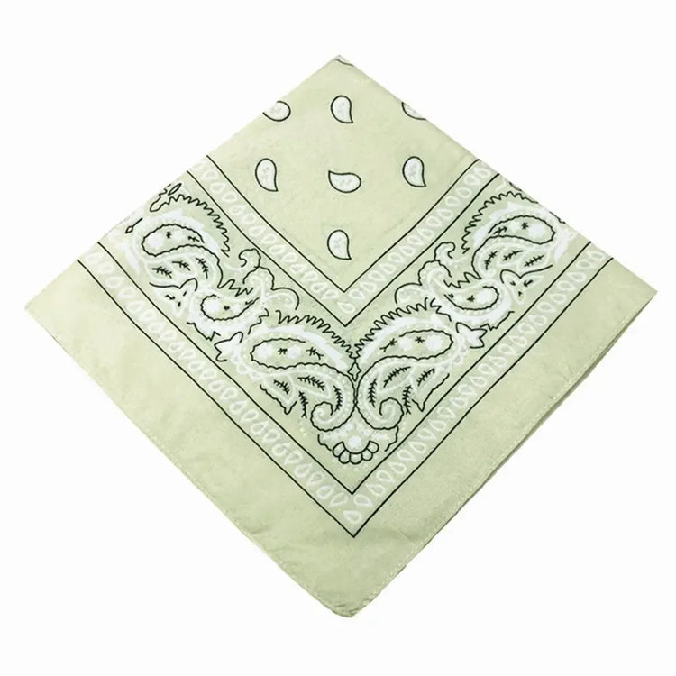 paisley pattern