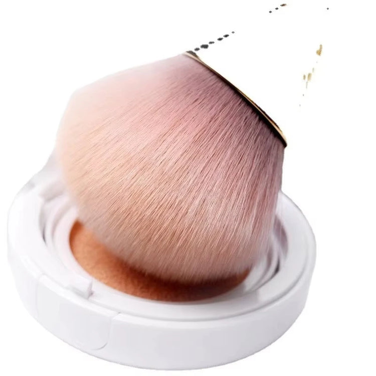 Soft-bristle cosmetic brush beside compact powder