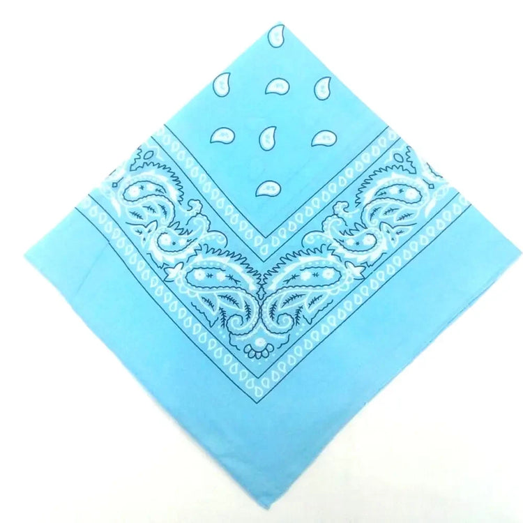 paisley pattern