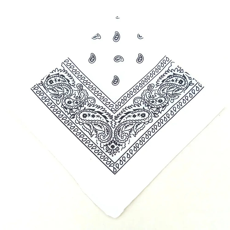 paisley pattern
