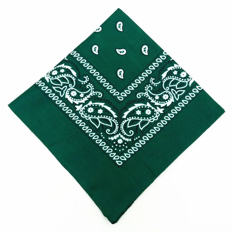 paisley pattern