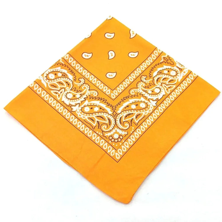 paisley pattern