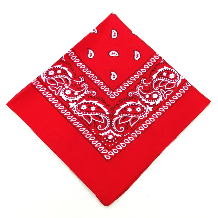 paisley pattern