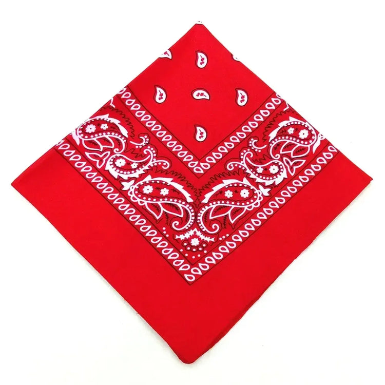 paisley pattern