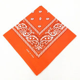 paisley pattern