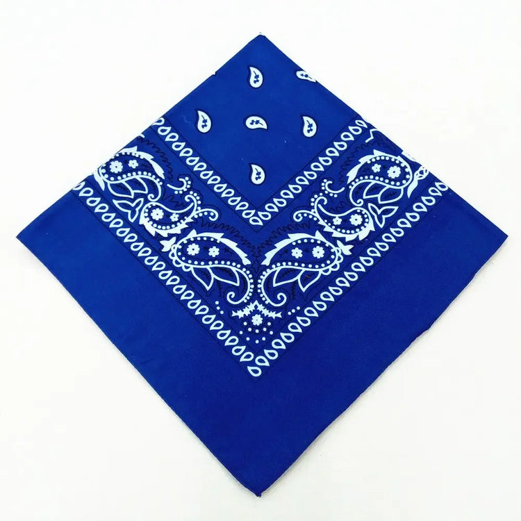 paisley pattern