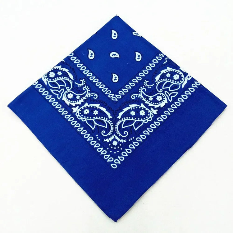 paisley pattern