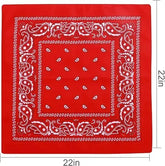 paisley pattern