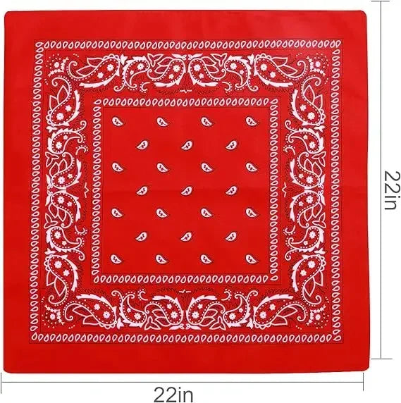 paisley pattern