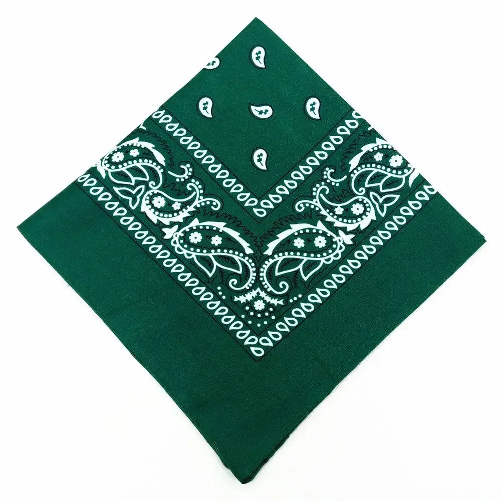 paisley pattern