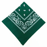 paisley pattern