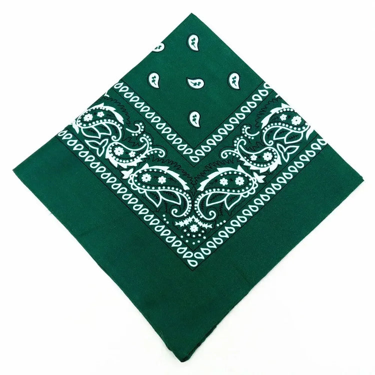 paisley pattern