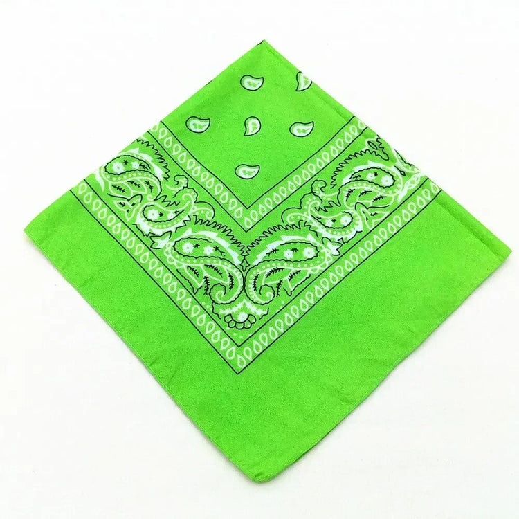 paisley pattern