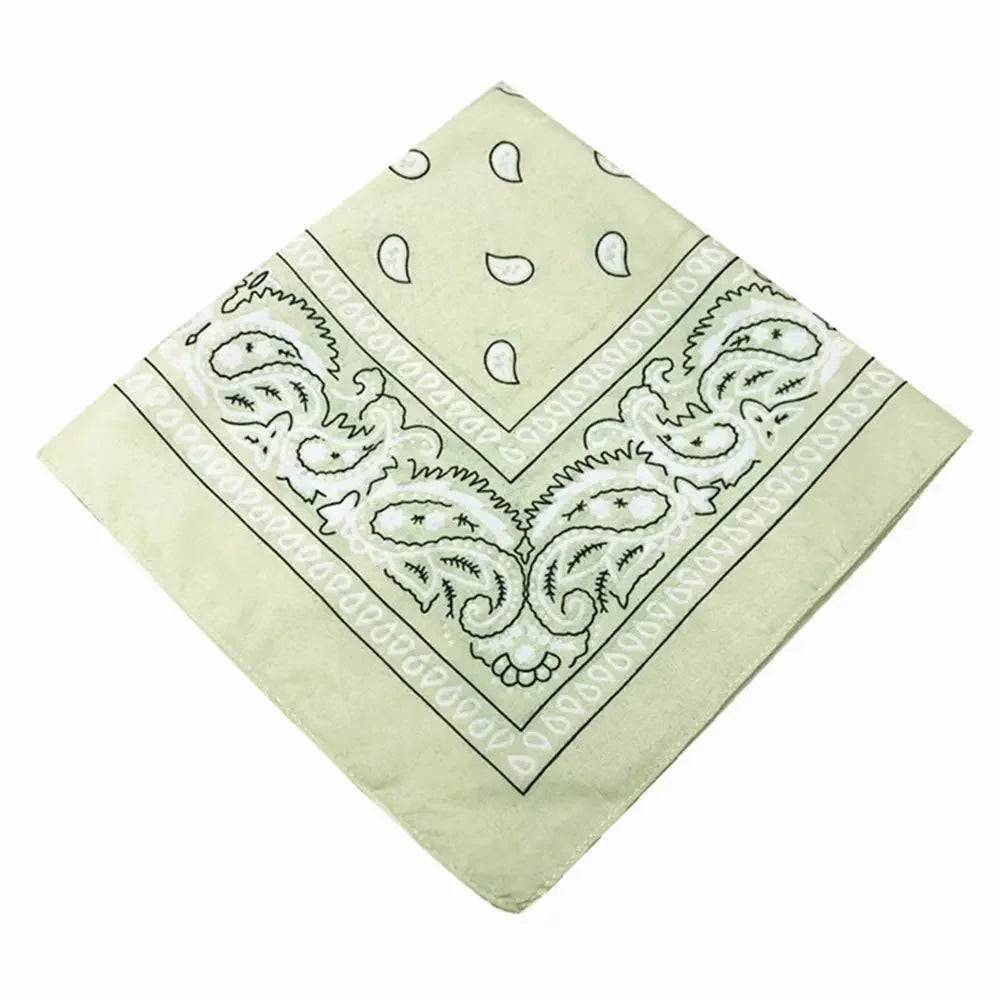 paisley pattern