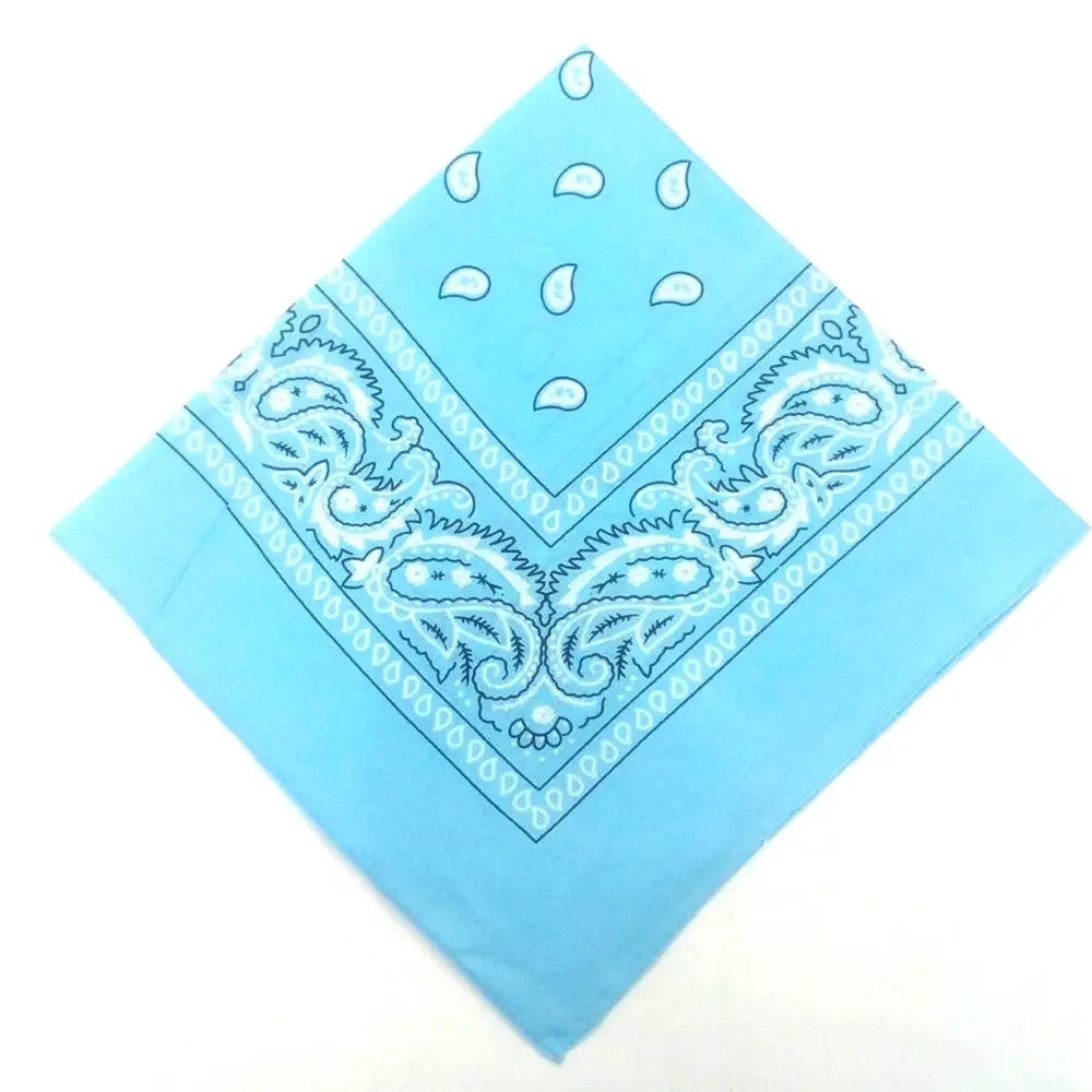 paisley pattern