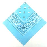 paisley pattern