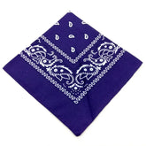 paisley pattern