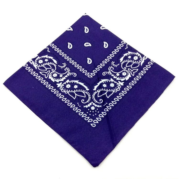 paisley pattern