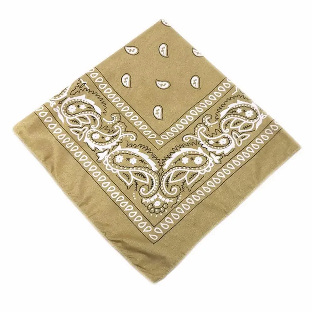 paisley pattern