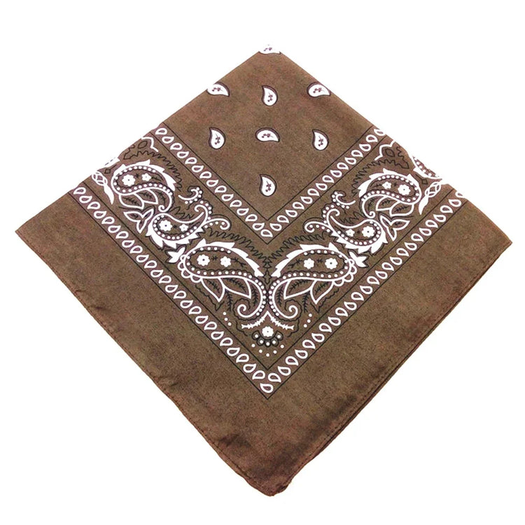 paisley pattern