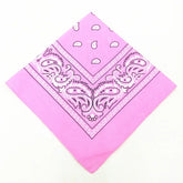 paisley pattern