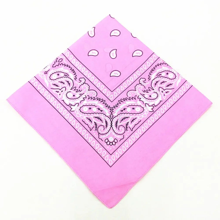 paisley pattern