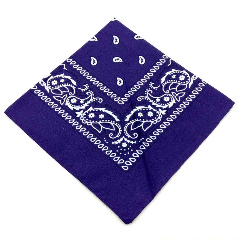 paisley pattern