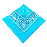 paisley pattern