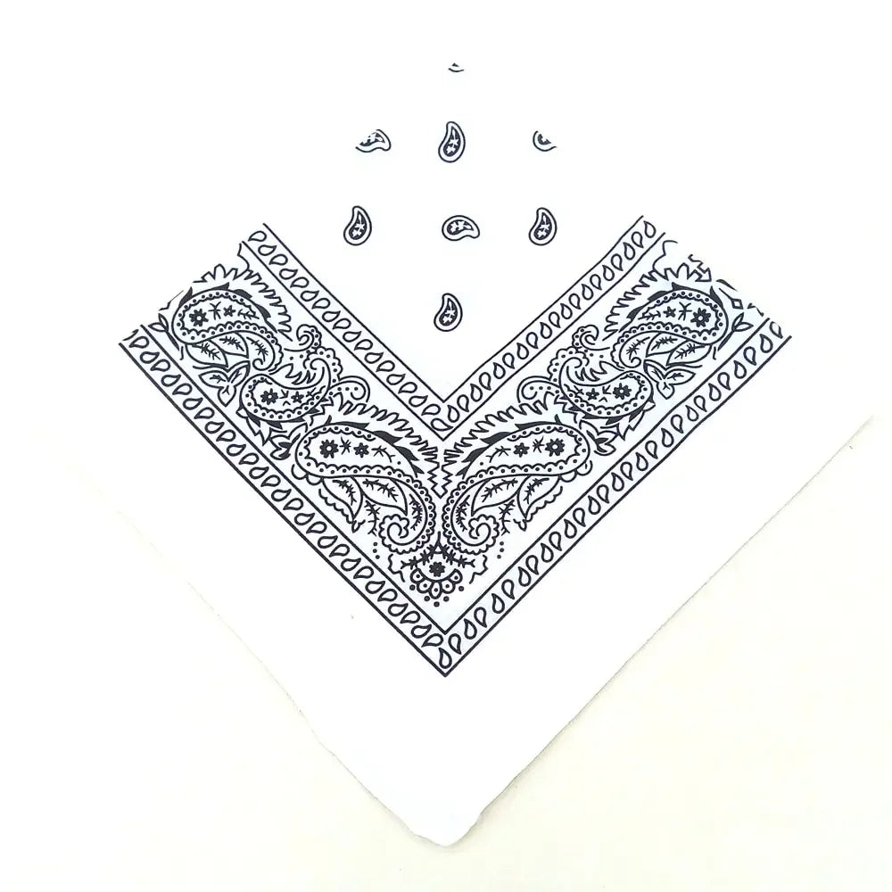 paisley pattern
