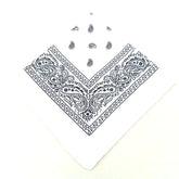 paisley pattern