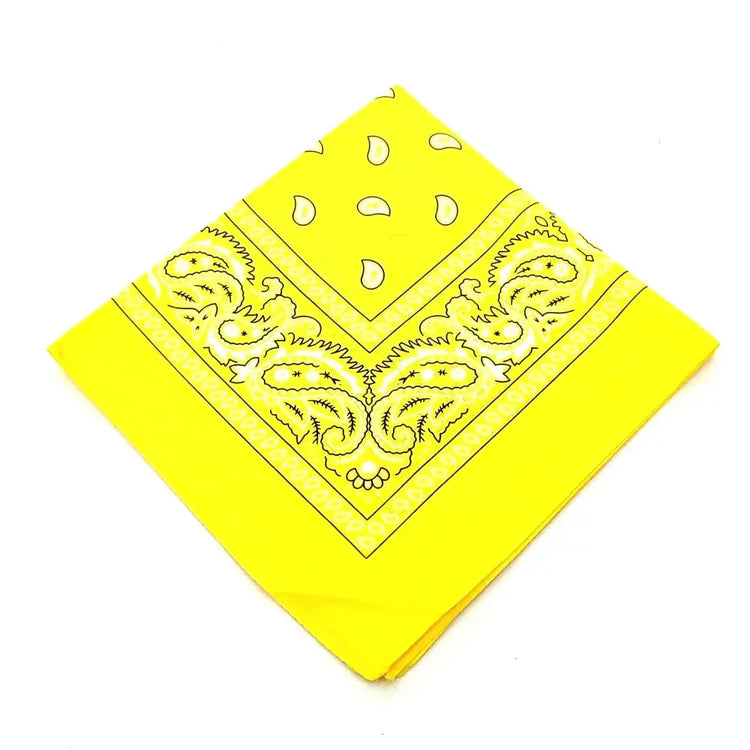 paisley pattern