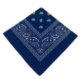 paisley pattern