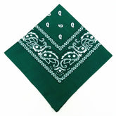 paisley pattern