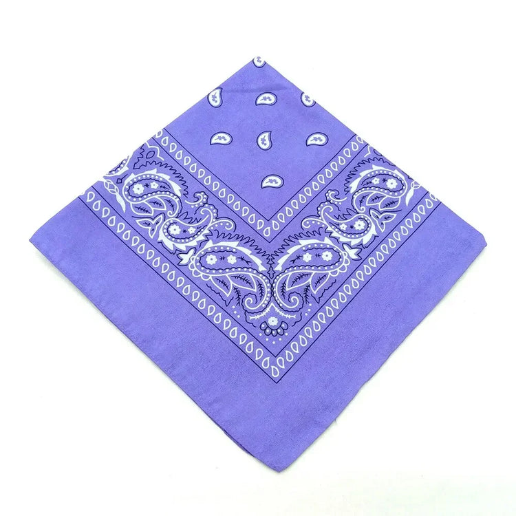 paisley pattern