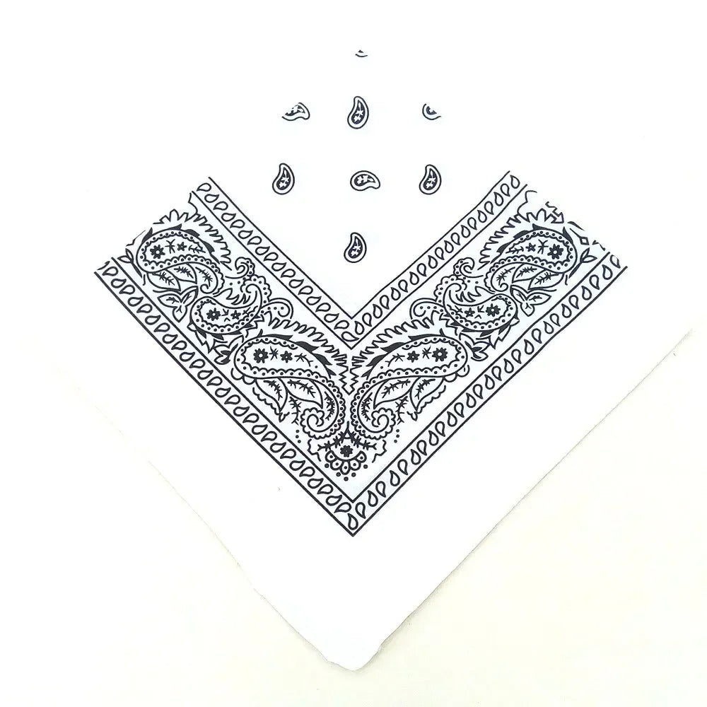paisley pattern