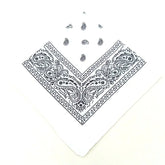 paisley pattern
