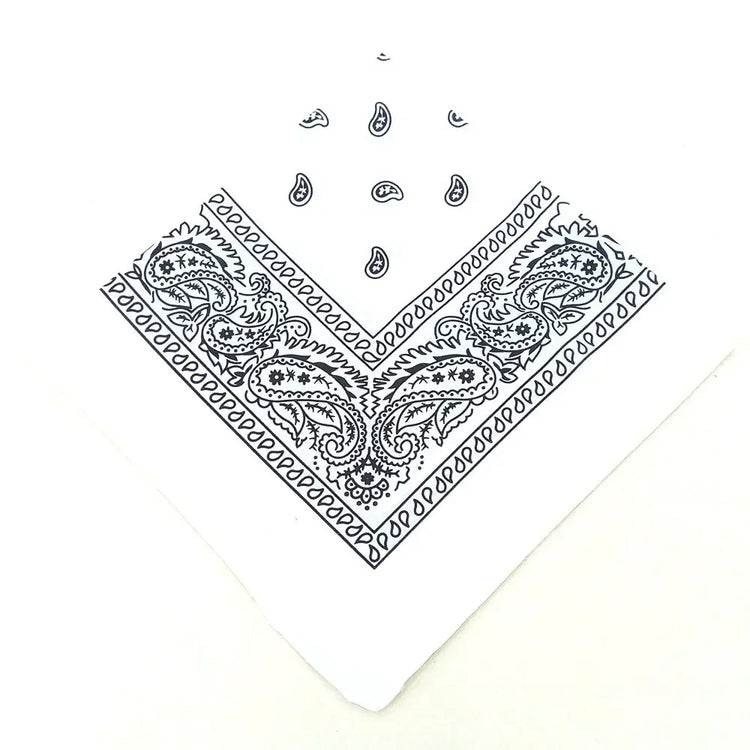 paisley pattern