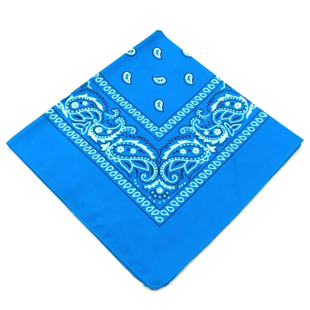 paisley pattern