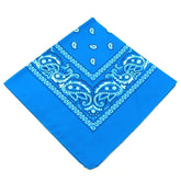 paisley pattern