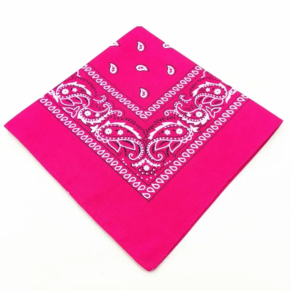 paisley pattern