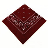 paisley pattern