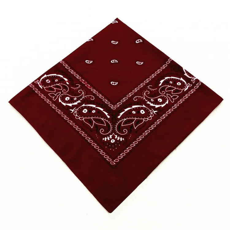 paisley pattern