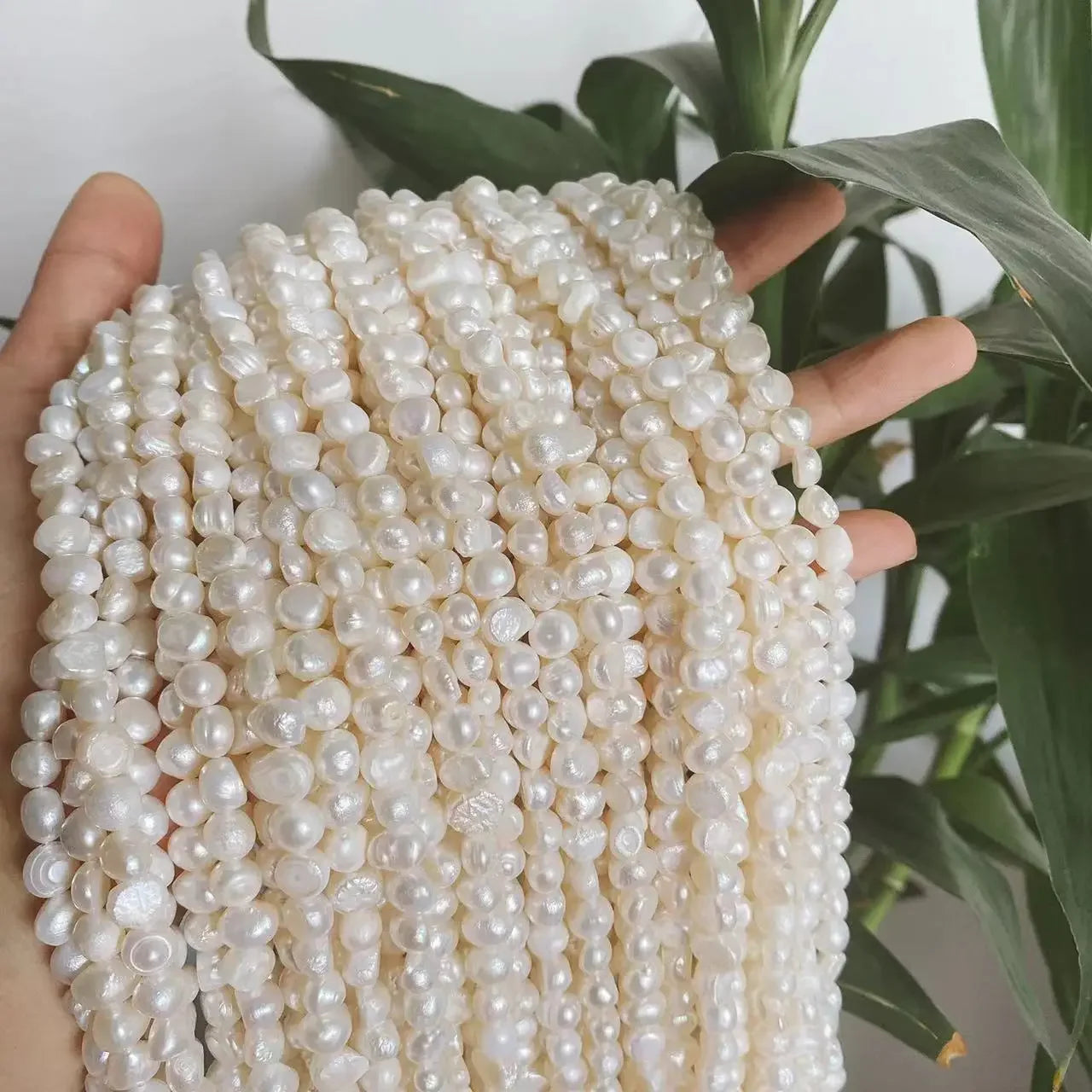 Natural freshwater pearls close-up shot”

