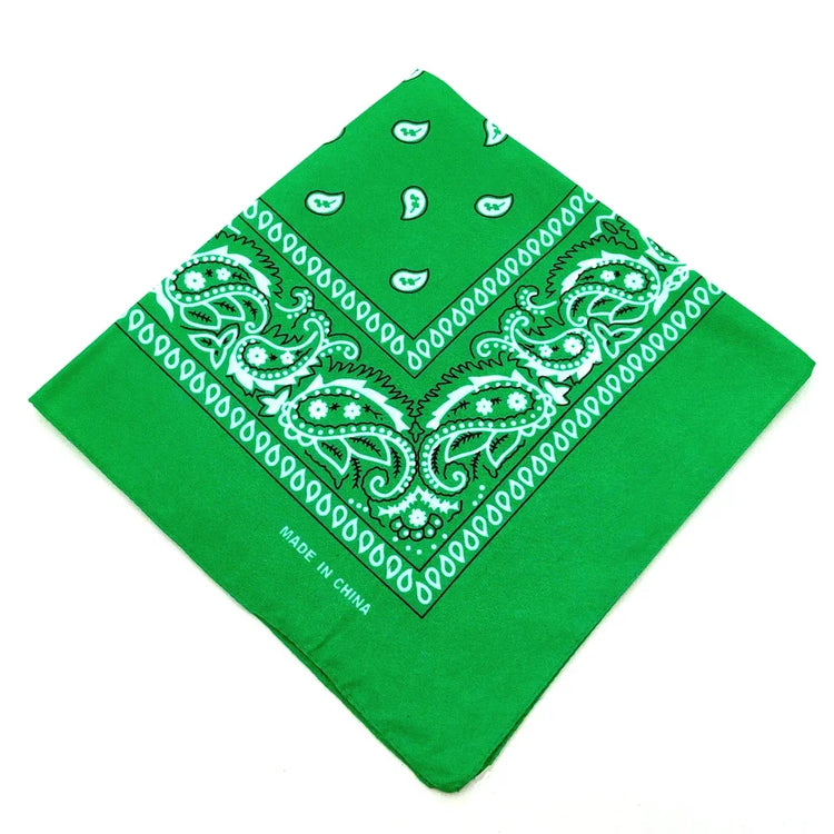 paisley pattern