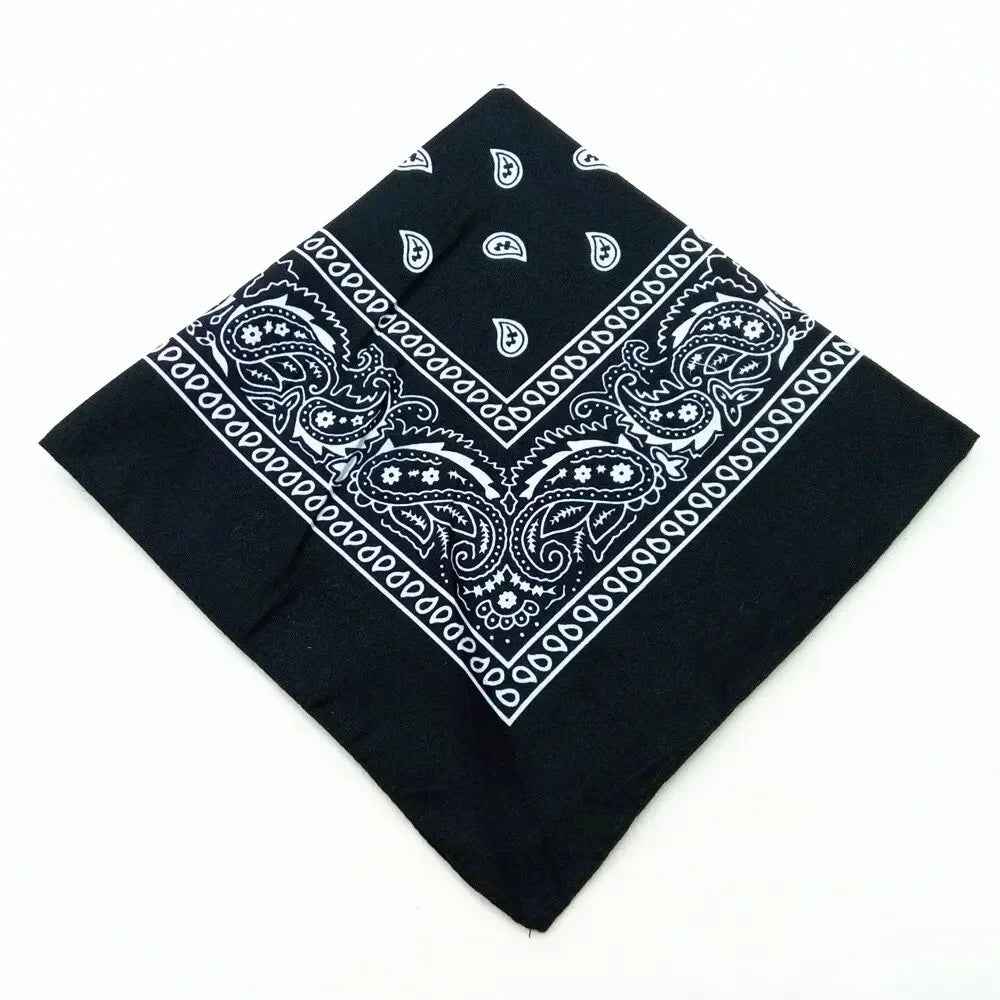paisley pattern