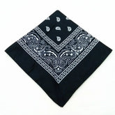 paisley pattern