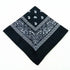 paisley pattern