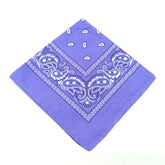 paisley pattern