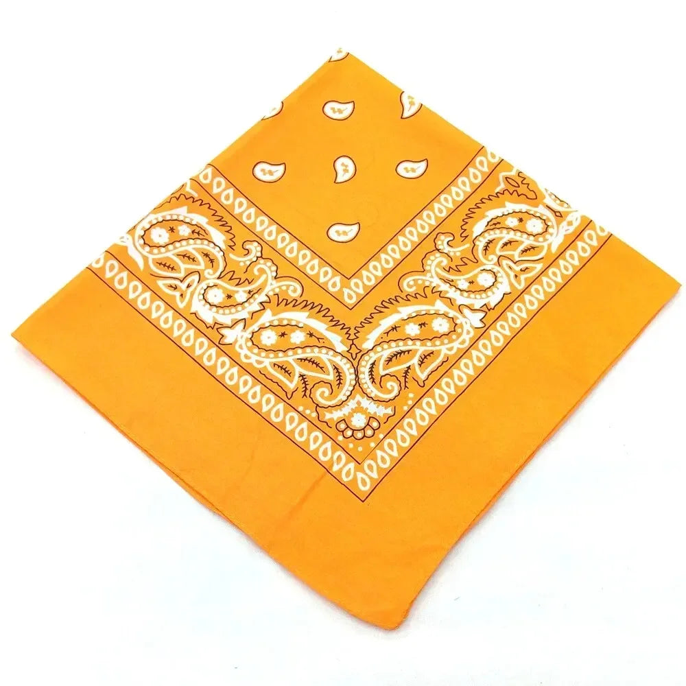 paisley pattern